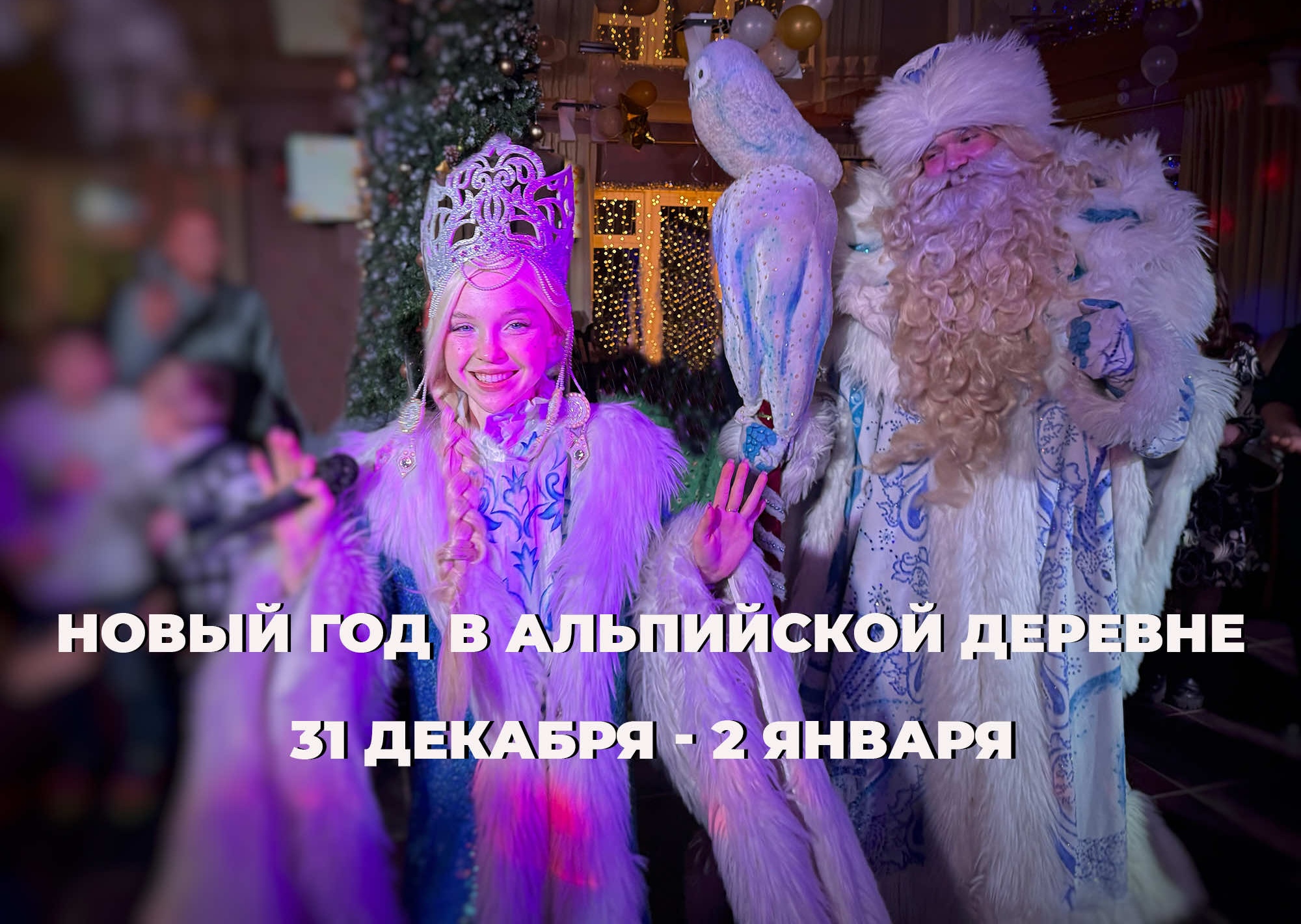 НОВЫЙ ГОД 2026 В АЛЬПИЙСКОЙ ДЕРЕВНЕ!